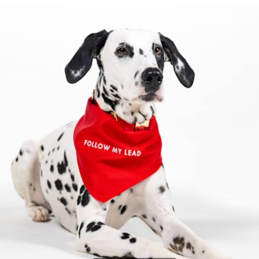 Kate Spade pet bandana